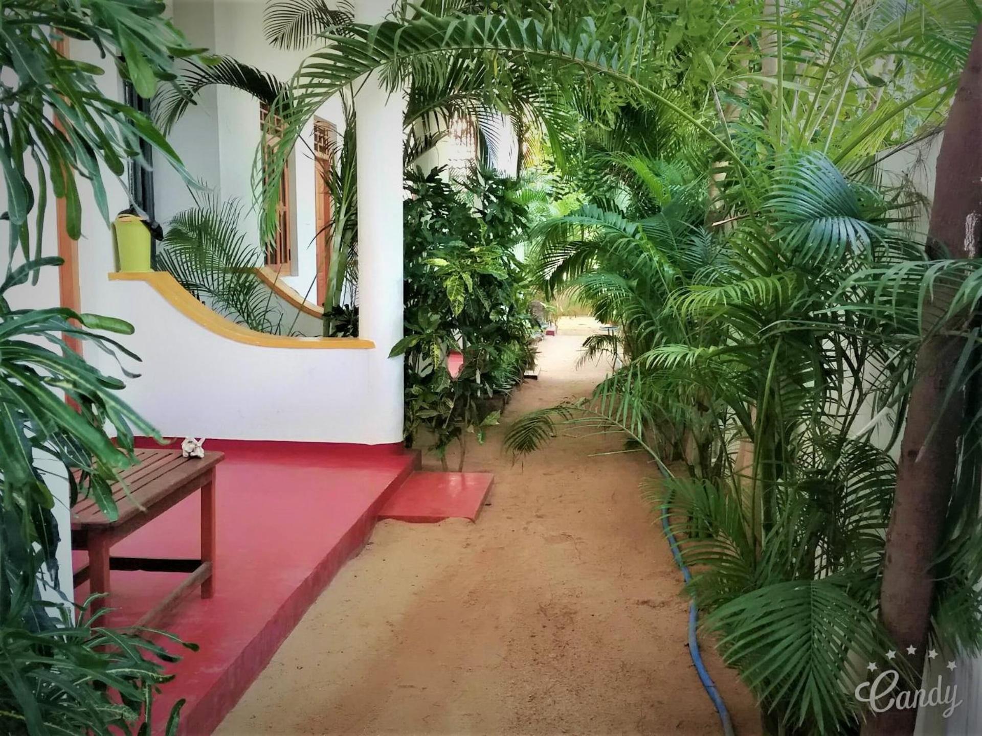 Surf & Sand Hotel Arugambay Arugam Bay Zewnętrze zdjęcie